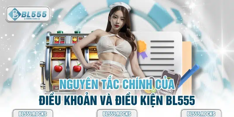 Nguyên tắc chính của điều khoản và điều kiện BL555